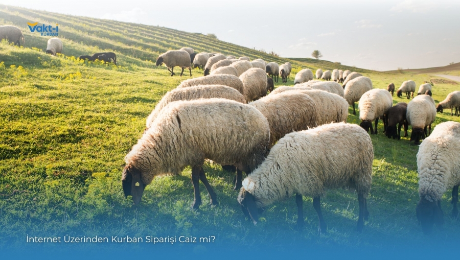 İnternet Üzerinden Kurban Siparişi Caiz mi?