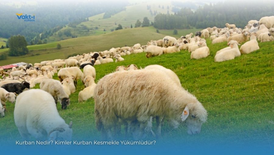 Kurban Nedir? Kimler Kurban Kesmekle Yükümlüdür?