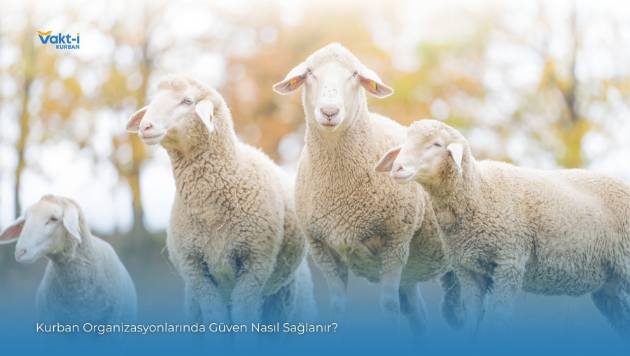 Kurban Organizasyonlarında Güven Nasıl Sağlanır?