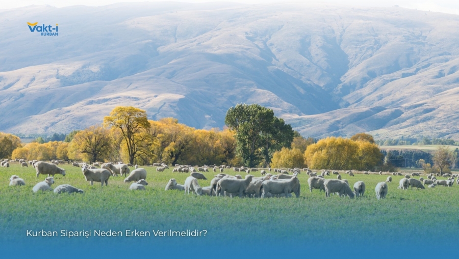 Kurban Siparişi Neden Erken Verilmelidir?
